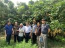 Chủ tịch Hội, ông Lê Quốc Doanh thăm, làm việc với Hội Làm vườn tỉnh Hưng Yên